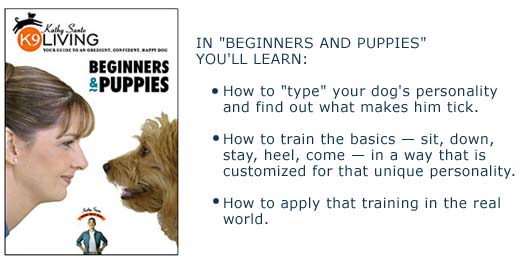 Beginners & Puppies